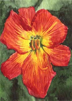 "Daylily" by Beverly Larson, Oregon WI - Watercolor